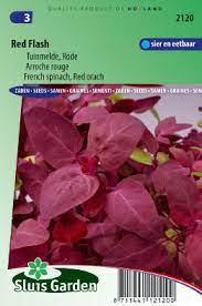 We did not find results for: Gartenmelde Atriplex Hortensis Kaufen Samen Bestellen Fur Nur 2 49