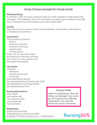 Opt In Freebie Dosage Calculations Conversions Cheat Sheet Nursing School Of Success Nursing School Notes Pediatric Nursing Nursing School Survival