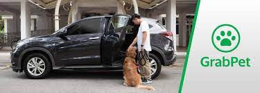 We are website development company; Grabpet Give Your Fur Babies The Best Treat Grab Ph