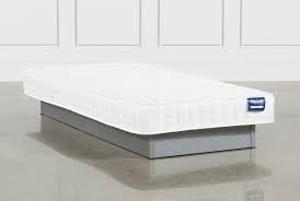 However, a twin xl is longer. Revive Series 2 Twin Extra Long Mattress Living Spaces