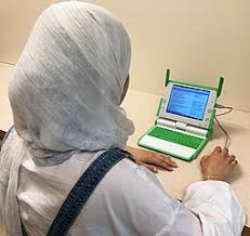 Image result for A2 bluebottle