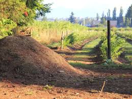 To create a hypertufa blend, add approximately 30 percent peat moss, cocoa husks, wood chips or sawdust to the mix prior to adding water. 14 Uses For Sawdust In The Garden With Tutorials Gardening