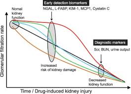 Ver más ideas sobre dibujos, disenos de unas, ma… Clinical Prospects Of Biomarkers For The Early Detection And Or Prediction Of Organ Injury Associated With Pharmacotherapy Sciencedirect
