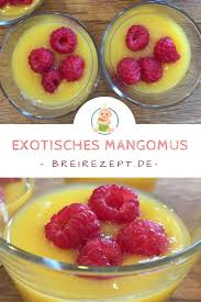 Nachmittagsbrei Mit Apfel Mango Und Kokos Dinkelflocken Rezept Rezepte Babybrei Rezepte Rezepte Furs Baby