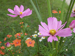 9 socialiniai puslapiai, įskaitant facebook ir twitter, valandos, telefonai, faksas, internetinė svetainė ir daugiau apie šį verslą. Outdoors And Overcoming Anxiety Outdoor Gulf Coast Of Northwest Florida