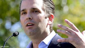 Roy Warfield (@warfield_roy)