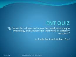 Ppt Ent Quiz Powerpoint Presentation Free Download Id 872469