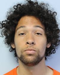 Man armed with BB gun scares hundreds of children in Springfield's Forest  Park