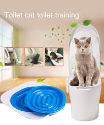 It eliminates the need to ever again buy cat litter thus making real monetary savings. Cat Toilet Trainer Kit Cat Potty Litter Training System Kit Teach Your Cat To Use The Toilet Pet Cleaning Training Supply Cat Educational Repellents Aliexpress