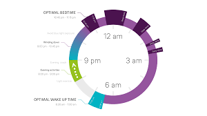 Find Your Own Circadian Rhythm Track Your Internal Clock