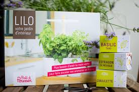 Graines pour jardin d interieur. J Ai Teste Lilo Le Jardin D Interieur Design Connecte De Pret A Pousser