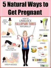 Epingle Sur Fertility