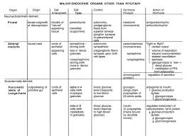 endocrine organs