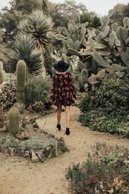 A team of biologists out on a bald eagle surveying trip made the new find near a central arizona reservoir, according to jacobson. Arizona Cactus Garden Stanford University Www Shandru Com Arizona Cactus Cactus Garden Cactus