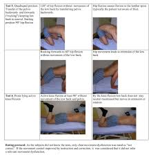 Image result for Low Back Exam