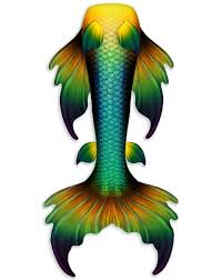 Post a pic of yours here and we can maybe help with tail type.sometimes the different tail types have slightly different care issues. Paradise Betta Whimsy Fantasea Mermaid Tail