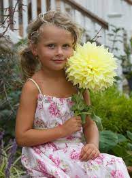 Maybe you would like to learn more about one of these? How To Grow Dinnerplate Dahlias