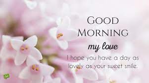 We did not find results for: Good Morning Wife 1