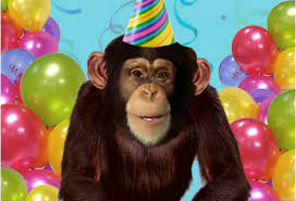 Happy Birthday To You Happy Birthday To You Happy Birthday To This Monkey Happy Birthday To You Kids Nursery Rhymes Kids Songs Nursery Rhymes