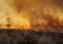 Los incendios forestales en nuestro país se deben principalmente a condiciones naturales climáticas y topográficas que son acentuadas por la época de secas en climas los incendios forestales y las prioridades de investigación en méxico. Incendios Forestales Surgen En Varios Estados De Mexico