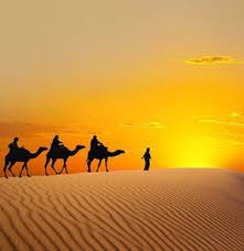 The most comprehensive image search on the web. Sains Dalam Alquran Mata Unta Bisa Zoom In Zoom Out Okezone Muslim