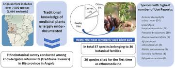 Image result for Landolphia eminiana