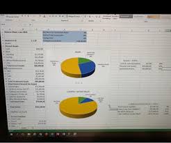 below is the balance sheet and the pie charts the