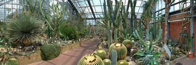 Beide botanischen gärten in kuel sind rund ums jahr einen besuch wert. Uni Kiel Botanischer Garten Kiel Feiert 350 Grundungsjubilaum