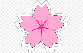 Cherry Blossom Flower Png Download 600 576 Free Transparent Cherry Blossom Png Download Cleanpng Kisspng Red flowering cherry blossom tree illustration, plum blossom daoist temple, flowers,flowers,plum flower, leaf, branch png. cherry blossom flower png download
