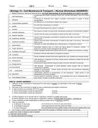 When you breathe in oxygen, the red blood cells in your lungs have a low concentration of oxygen and a high concentration of carbon dioxide inside. Biology 12 Cell Membrane Transport Review Worksheet