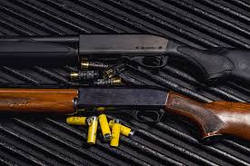 Pin On Guns