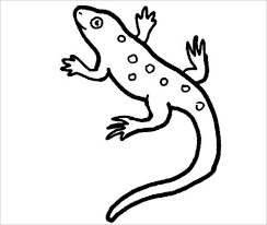 Explore 623989 free printable coloring pages for you can use our amazing online tool to color and edit the following realistic lizard coloring pages. 20 Lizard Templates Crafts Colouring Pages Free Premium Templates