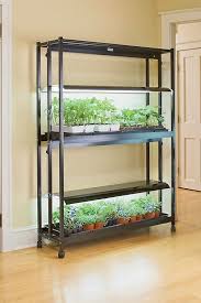 Tomato Grow Lights Explained For Indoor Gardening Seed Starting Growing Tomatoes Indoors Indoor Grow Lights Growing Tomatoes From Seed