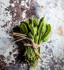 Tea tree oil makes hair follicles more accepting of nutrients and promotes healthy, strong hair growth, she says. Healthy Hair Choose The Best Food For Hair Growth Ogario London