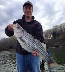 Kentucky Afield Outdoors Swimbaits Fool Trophy Fish Wmky