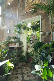 Conservatory Archives In London Inside Garden Room With Plants Plants