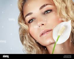 European calla hi-res stock photography and images