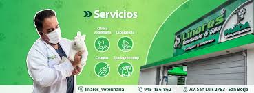 Clinica Veterinaria Linares & Spa