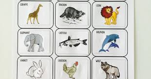 Herbivore Carnivore And Omnivore Sort A Fun Way For For Students To Learn And Practice This Sc Animales Carnivoros Ciencia Divertida Adivinanzas Para Ninos