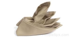 Bird Of Paradise Napkin Fold Steps Pin On Tablescapes Napkins