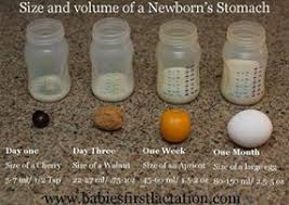 Milk production stops on its own when there is no infant suckling on the breasts. Breastfeeding And Working Our Breastfeeding Journey Diary Of A Modern Day Working Mom