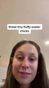 Tiny Fluffy Easter Chicks