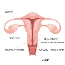 5c216289 | ngocok lubang pantat cewek. Deine Vagina Ist Nicht Da Wo Du Glaubst Wetten Barbara De