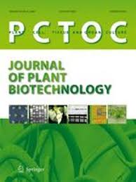 In a broad sense, cells, tissues, and organs that are isolated and. Increased Anthraquinone Production In Galium Vernum Cell Cultures Induced By Polymeric Adsorbents Springerlink