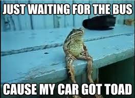 Image result for freaks, frogs, fools, good time toads