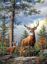 Awesome Deer Deer Painting Wildlife Paintings Deer Pictures