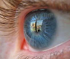 Is Beauty In The Eye Of The Beholder The Imaginative Conservative