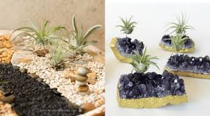 Maybe you would like to learn more about one of these? The 18 Absolute Best Ways To Display Your Air Plants