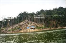 Explore the royal belum state park. Opening Of A New Settlement As Observed In Royal Belum State Park Download Scientific Diagram