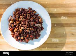 Image result for Berchemia discolor